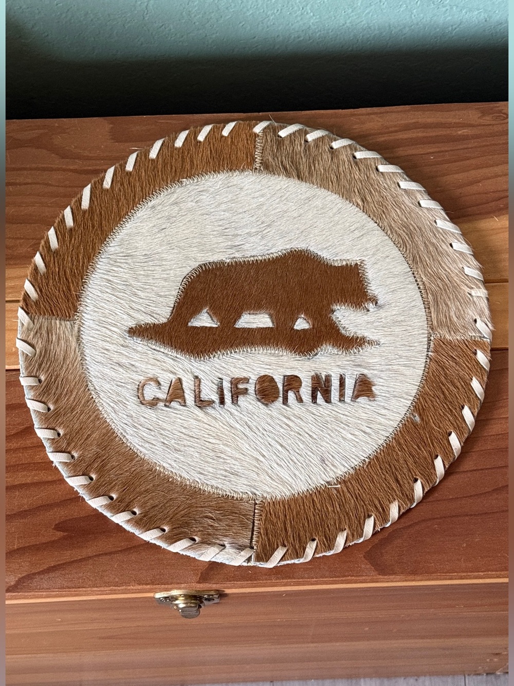 California Bear Cowhide Leather Wall Decor Round 12” Rustic Western Handmade